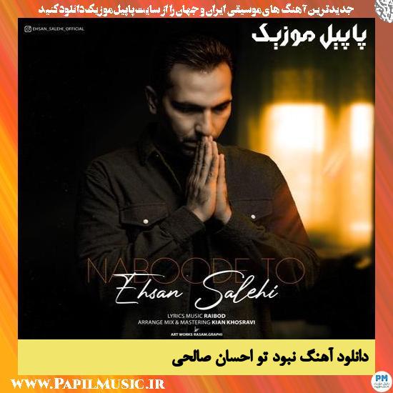 Ehsan Salehi Naboode To دانلود آهنگ نبود تو از احسان صالحی